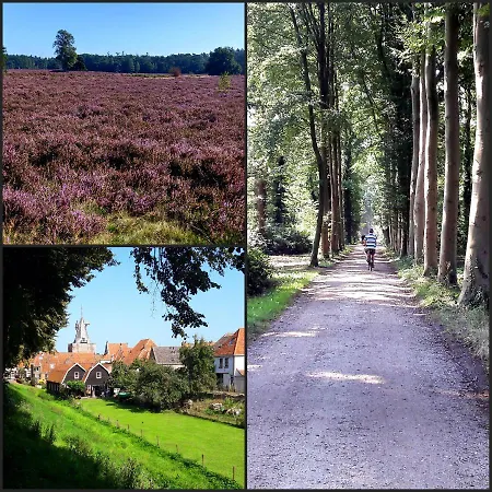 Holiday home Luxe Veluwe 'de Bosvogel'