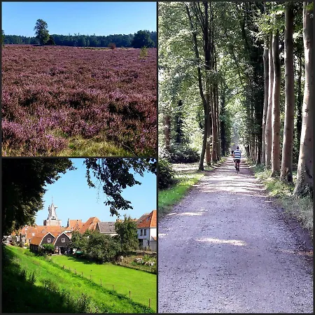 펜션 Luxe Natuurhuis Veluwe 'de Bosvogel'