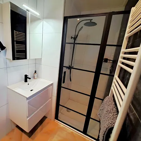 Luxe Veluwe 'de Bosvogel' Holiday home