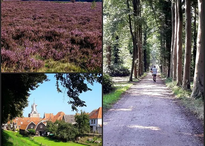 بيت للعطل Luxe Natuurhuis Veluwe 'de Bosvogel'